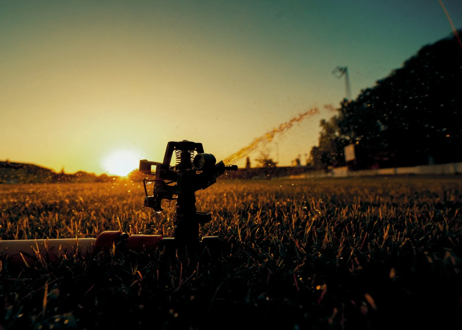 A sprinkler watering a field at sunset